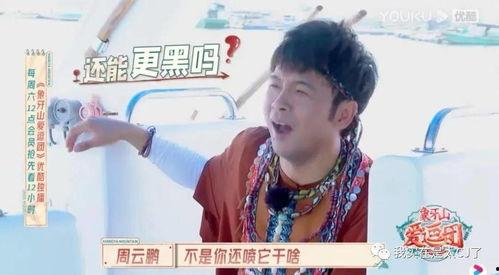 宝哥吃瓜趣事,娱乐圈幕后秘闻大揭秘 第1张 宝哥吃瓜趣事,娱乐圈幕后秘闻大揭秘 第1张